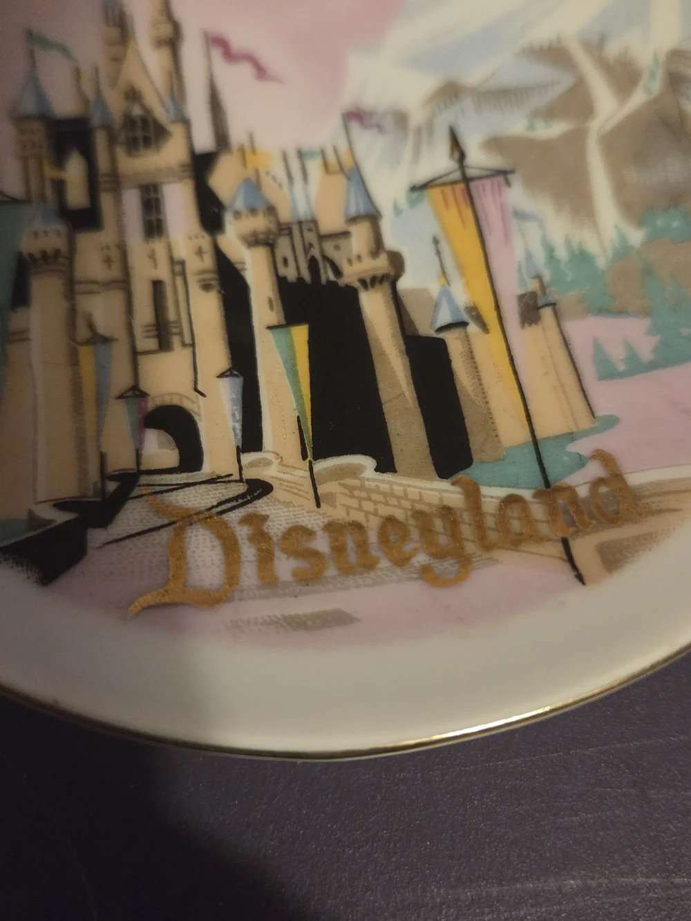Disney disneyland souvenir